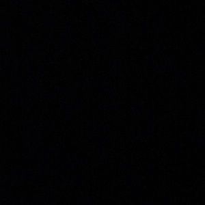 Meet your Posher, Minnie